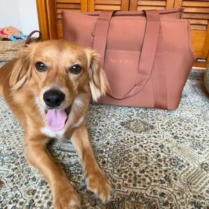 Wild One Recycled Knit Everyday Dog
Carrier Tote